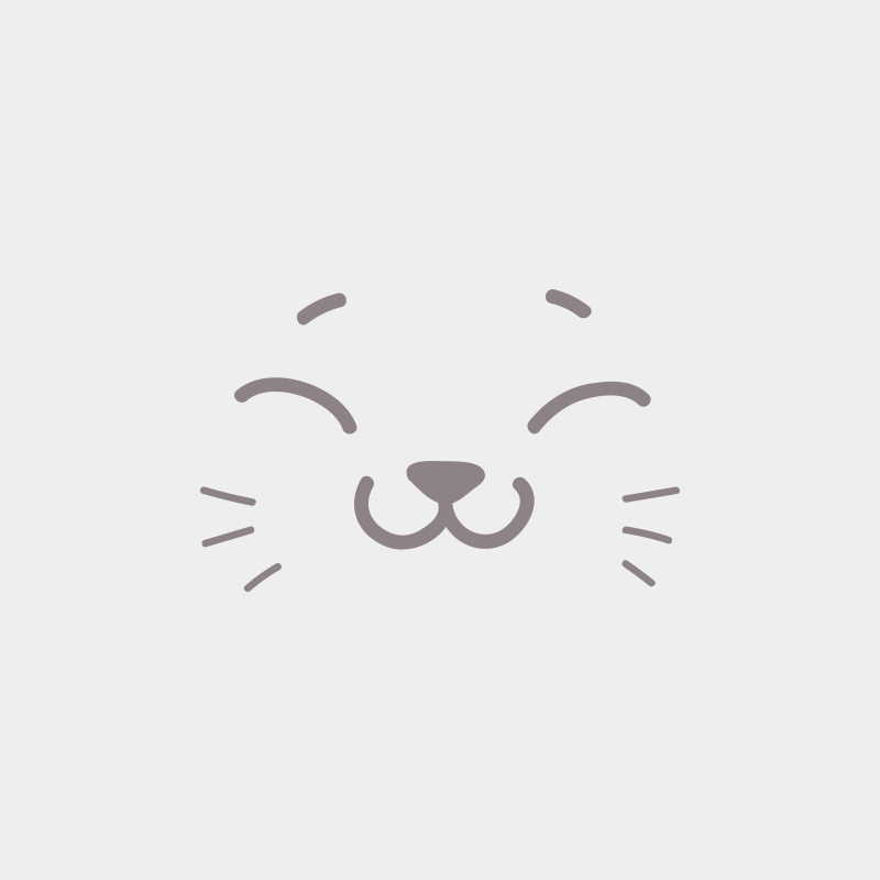 U TOO DES GRENADINES DE CELAN Femelle British Shorthair